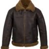 Sheepskin Dark Brown Leather Jacket