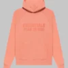 Fear of God Essentials Hoodie