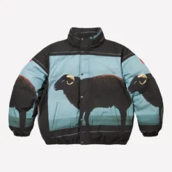 Supreme Damien Hirst Down Jacket