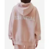 Pacsun Essentials Pullover Peach Hoodie