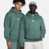 Nike ACG Therma Fit Green Hoodie